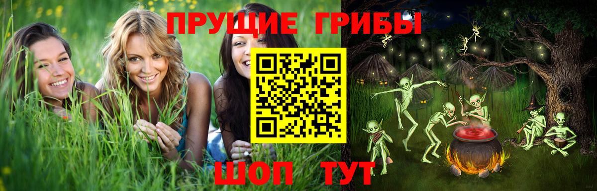 Псилоцибиновые грибы мухоморы Котовск