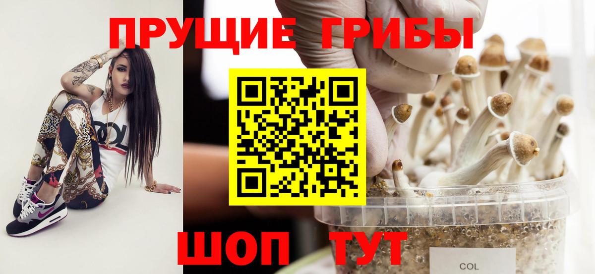Котовск  Псилоцибиновые грибы GOLDEN TEACHER  дарнет шоп  Вход с VPN 
