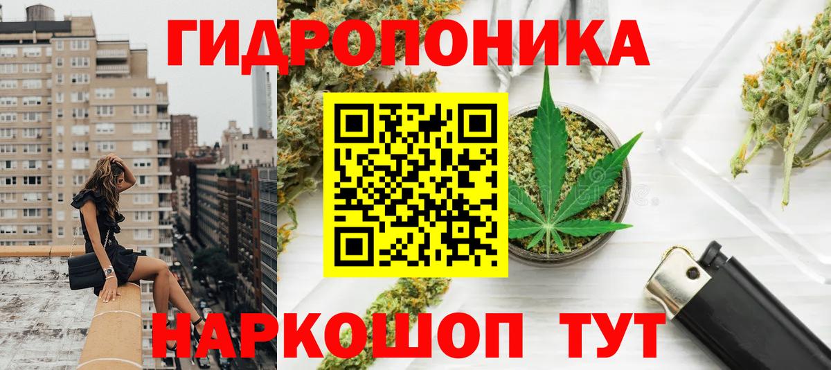 Канабис марихуана  Бошки марихуана планчик  Котовск  Вход с VPN  Марихуана Bruce Banner 